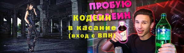 индика Нягань