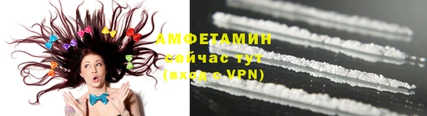 индика Нягань