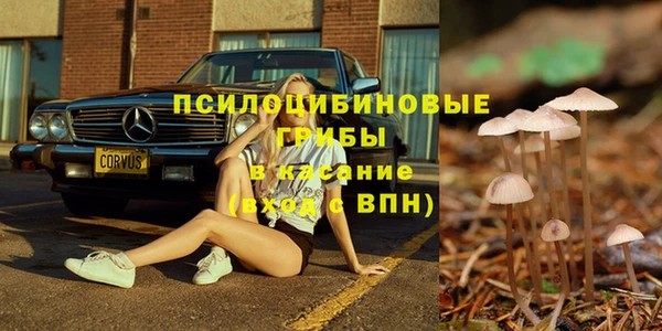 индика Нягань