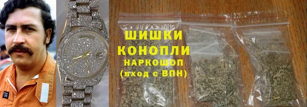 индика Нягань