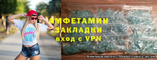 индика Нягань