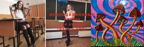 spice Осташков