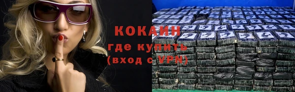 индика Нягань