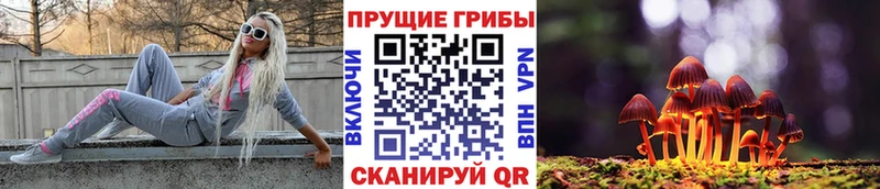 наркота  Белёв  Галлюциногенные грибы Magic Shrooms 