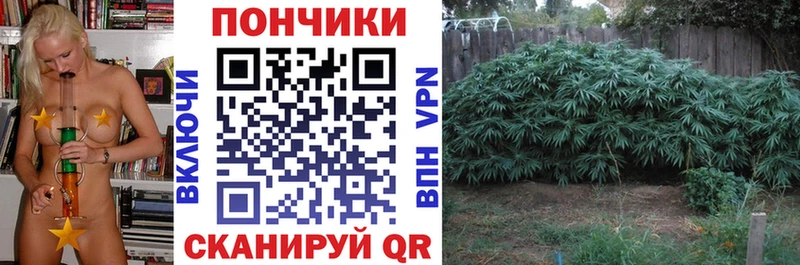 Бошки марихуана SATIVA & INDICA  kraken ONION  Белёв 
